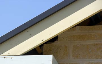 Wilde Street fascia repairs