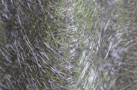 Wilde Street fibreglass roof work